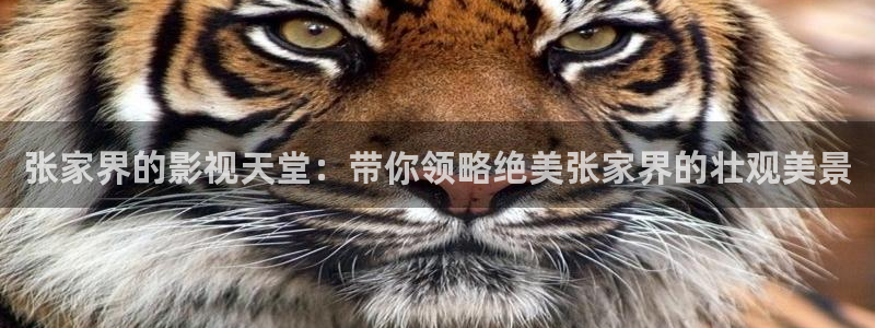 国产免费嫩草影院