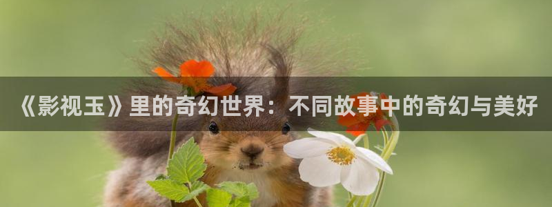 高清嫩草影院