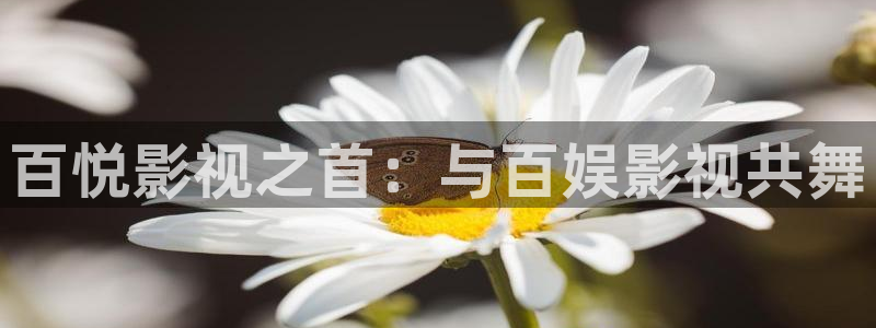 嫩草影院一二三四五六七八