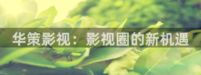 嫩草影院在线观看视频免费